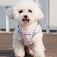 HP214--Arnés de tela de malla estable de 1 pieza, arnés ligero y transpirable para perros y gatos. Correa para perro de 1,5 metros. - details 4