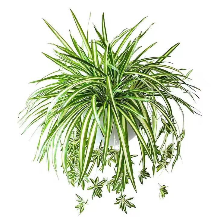 Colgante de algas verdes artificiales, planta de plástico falsa para interiores, decoración de jardín al aire libre para pared de patio, 1 Juego - 1