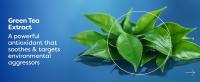 Retinol Serum