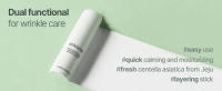 korean kbeauty skincare balm lip centella moisturizing