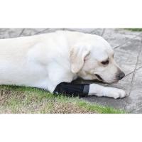 Protector de artritis para perros, soporte para piernas, soporte para articulaciones, rodilleras, recuperación de lesiones, actualizado - details 1