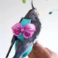 Traje de Vuelo para Pájaros con Forro Impermeable Prenda de Pañales para Pájaros Exóticos con Cuerda de Vuelo - details 4