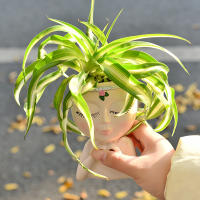 Amor europeo transfronterizo chica medio cuerpo suculenta planta verde maceta almacenamiento en el hogar patio jardín decoración de alta gama - details 15