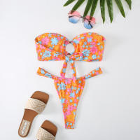 2024 New Split Bikini Printed Breasted Sexy Spicy Slim G-string Two Piece Swimwear Tight Beach Holiday Travel Swimwear Women - details 27