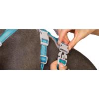 arnés para perros