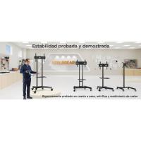 soporte tv con ruedas