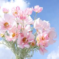 Rama de flor de Cosmos Artificial de lujo, simulación realista de plástico, crisantemo, flor falsa elegante hecha a mano - details 12