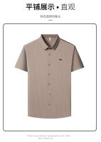 25 Nuevo verano Anti arrugas Casual Polo Business Camisa de manga corta a rayas verticales para hombres - details 25