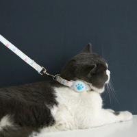 Collar Locator para Mascotas de Nylon que Brilla en la Oscuridad Ajustable, Anti-Pérdida, Cubierta Protectora de Silicona para AirTag - details 4