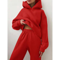 Suéter grueso de manga larga para mujer, moda casual de dos piezas, otoño e invierno - details 9