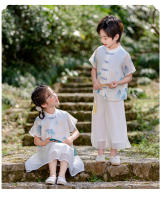 Hanfu Primavera/Verano Estilo infantil Cultura tradicional china Étnico Tang Niños Elegantes Niñas Guzheng Danza Actuación - details 10