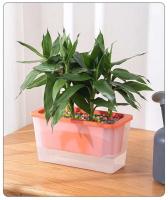 Balcón suculenta planta de autorriego maceta cuadrada de flores maceta de plástico para plantas - details 6
