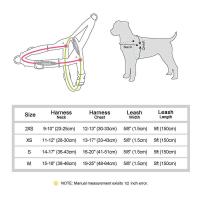 Conjunto arnés de nailon perro, correa sin tirones cachorros, chaleco mascotas con plomo caminar, ustable para perros pequeños y - details 1