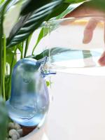 Globo de agua de plástico soplado a mano con forma de pájaro, autorriego automático, bebedero de plantas wer de alta calidad - details 6