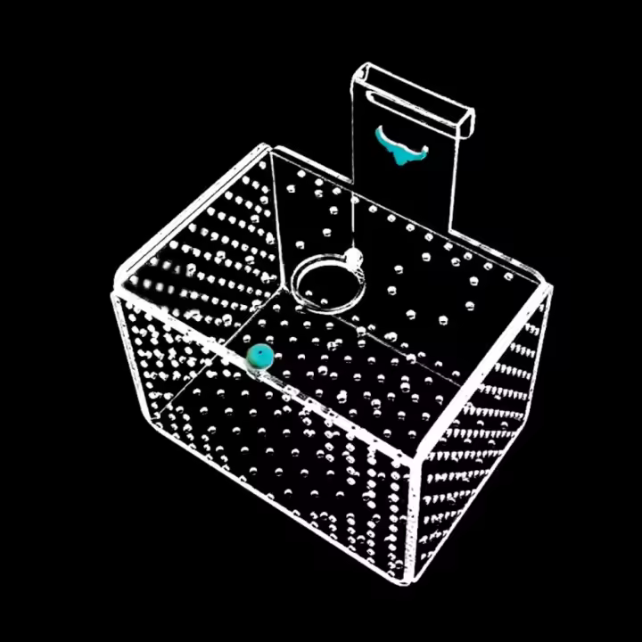 Caja de aislamiento acrílica para pecera, caja de incubación de acuario de montaje en pared de calibre de 3mm con cubierta, caja de cría de peces dorados Betta - 1