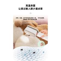 Plancha de férula, plancha, plancha de mano integrada, plancha eléctrica giratoria de vapor de doble propósito, seca y húmeda para viajes de negocios - details 13