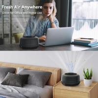 Purificador de aire portátil para automóvil con filtro True H13 e ionizador para humo y caspa - details 3