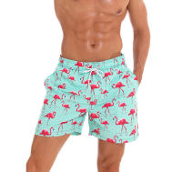 Pantalones cortos deportivos para hombre Hombre Fitness Deportes Ropa de playa Gimnasios Ropa - details 0