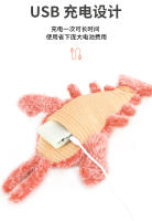 未标题-1_05