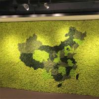 20g DIY sala de estar adornos para el hogar plantas verdes Mini paisaje decoración de jardín musgo eterno plantas artificiales - details 8