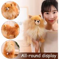Cachorro de Felpa, Pomerania Linda, simulación de pomerán, Animal Pomerano, perro realista, Pelio - details 1