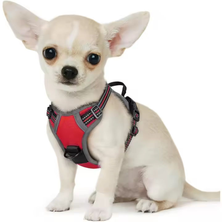 Arnes de Perro Grande Medio, Chaleco Acolchado Ajustable, antideslizante, transparente - 1