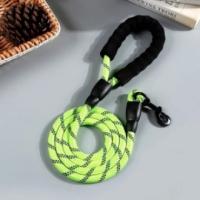 Edipets, Correa para Perros, Cuerda para Adiestramiento de Mascotas Color (Verde)