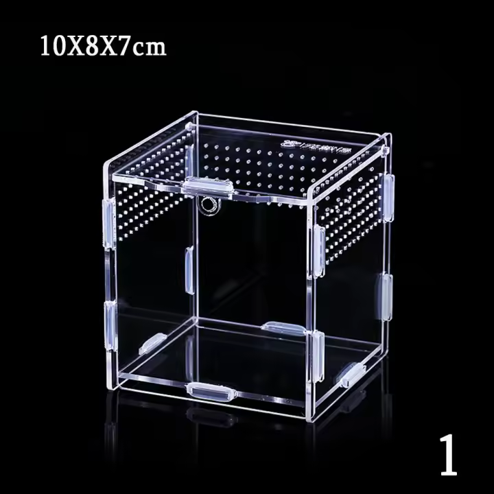 Contenedor acrílico profesional para lagarto, ranas, incubadora de insectos, terrarios, caja de cría, incubadora de reptiles, suministros para insectos - 1