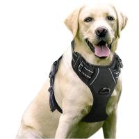 Arnés sin tirantes para perro, chaleco acolchado suave y ajustable para mascotas, color negro, 2 Clips de correa - details 2