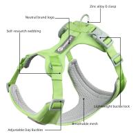 Juego de arneses con correas para perro y gato, chaleco de entrenamiento al aire libre, ideal como regalo para perros pequeños, medianos y grandes - details 5