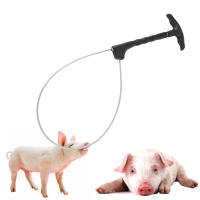 Juego de Baoding para cerdos de ganado, cuerda fija para cerdos, manga de cuerdas de alambre, herramienta de cría, equipo veterinario, 1 ud. - details 0