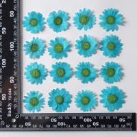 Juego de 12 Uds. De flores secas naturales de 2,5-4cm para rellenos de funda de teléfono DIY, flor de crisantemo de cristal prensado, decoraciones artísticas para uñas - details 18