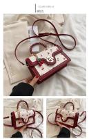 Bolso de Moda de Textura Avanzada Bolso Cuadrado Pequeño para Mujer Primavera-Verano 2025 - details 12