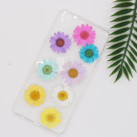 Juego de 12 Uds. De flores secas naturales de 2,5-4cm para rellenos de funda de teléfono DIY, flor de crisantemo de cristal prensado, decoraciones artísticas para uñas - details 2