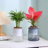 ETA hidropónico perezoso absorbente de agua de riego automático, mini jarrón de mesa de comedor ETA jugoso, decoración de bonsái para el hogar - details 8
