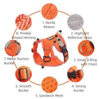 Conjunto de arnés ajustable resistente para perros, chaleco para caminar de malla suave a prueba de Escape, correa reflectante, chaqueta transpirable, arnés para caminar para gatos - details 16