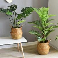 Cestas de almacenamiento Naturales de algas marinas, maceta de flores de estilo nórdico, cesta de plantas, bolsa de cultivo tejida de paja, maceta colgante, decoración del hogar - details 14