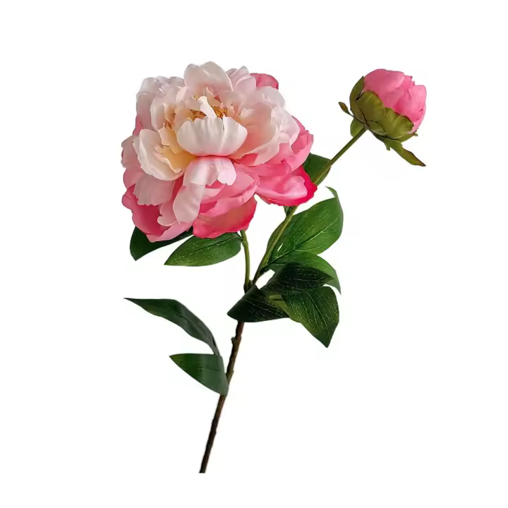DIY 2 cabezas ramo de peonías artificiales tela de seda paquete de flores de peonía realista accesorio de fotografía de flores artificiales - 1