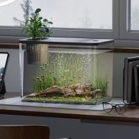 Tanque de peces transparente creativo con tapa, tanque de tortuga pequeño, tanque de acuario Betta resistente a caídas para decoración del hogar - details 4