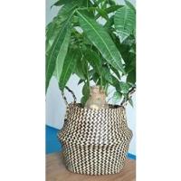 Cesta Mimbre Decoracion Naturales Cesta para Plantas Almacenaje Macetas Seagrass (Blanco) - details 14