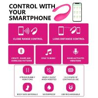 Leten Control inalámbrico vibrador consolador bragas usar huevo vibrador punto G clítoris masajeador vaginal masturbador femenino juguetes sexuales para mujeres - details 2