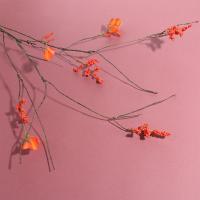 Hoja de arce roja Artificial de 84cm, planta de hoja de otoño elegante de plástico, rama de hoja de arce falsa hecha a mano, decoración para el hogar y la Oficina - details 5
