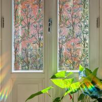 Película de Ventana Decorativa de Hojas de Vidrio Pegajosa de Doble Cara - details 1