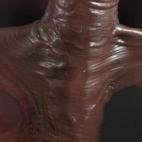 Empaquetado privado Dildos realistas sexys Piel deslizante Prepucio Testículos Dildo Estimulación anal vaginal Strapon Juguetes sexuales grandes para mujer - details 1