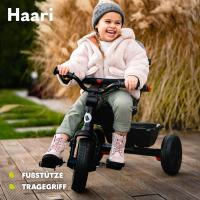 Haari Bicicleta 2 en 1 Menores hasta 25 kg 1,5-5 años Triciclo- Carrito Cesta espaciosa, Bolsa y portavasos Cinturones de 3 Puntos con Fundas Toldo Reposapiés Azul Oscuro - details 29
