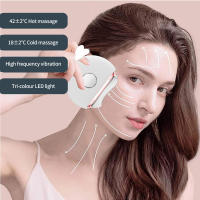 Dispositivo de belleza facial con sensación de hielo de enfriamiento, dispositivo de masaje y raspado de manos de modelado facial doméstico, vibración de compresas calientes, ajuste de tres niveles de la fuente de luz LED - details 1