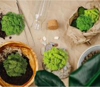 Plantas verdes artificiales de vida eterna, hierba de musgo, decoración de jardín de casa, Mini paisaje, flor falsa, regalos de manualidades DIY, 50g, nuevo - details 7