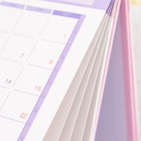 Calendario creativo 2024-2025, calendario de escritorio de 12 meses 2025, Agenda anual para hacer lista, organizadores de gestión del tiempo, regalos - details 10