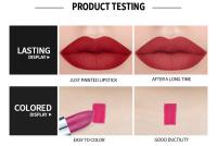 Lápiz labial líquido mate, Kits de maquillaje de labios de un paso, pigmento aterciopelado, mancha de labios desnuda, resistente al agua, brillo de labios de larga duración, regalo de maquillaje - details 5