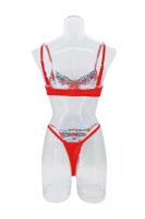Conjunto de sujetador de encaje Floral, lencería elegante, ropa interior de lujo bien llamativa, conjuntos exóticos de encaje fino de Hada erótica Sexy, sujetador transparente - details 21